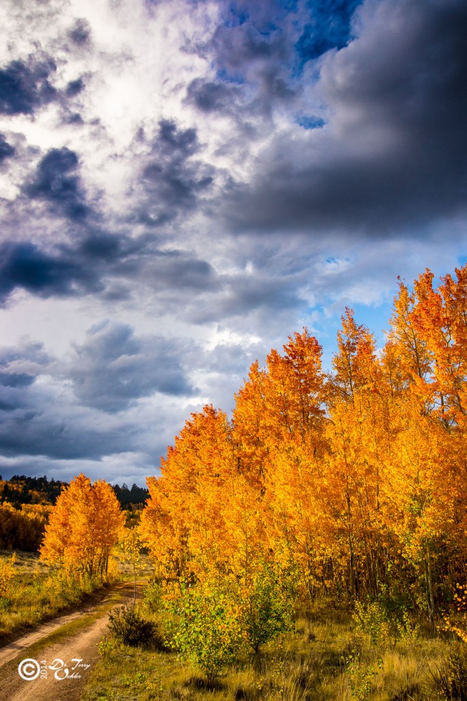 Road to Kenosha Pass Fall Colors Raw Photo Fusion