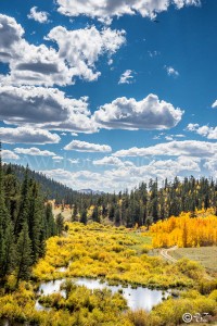 Colorado Creek