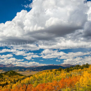 Fall Serenity, Colorado Fall Colors, Fall Colors, Kenosha Pass