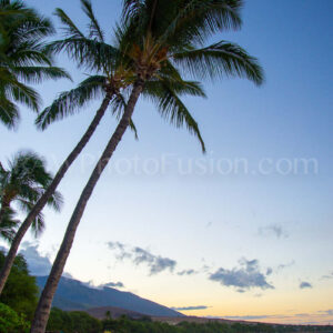 Beach Retreat, Beach sunrise