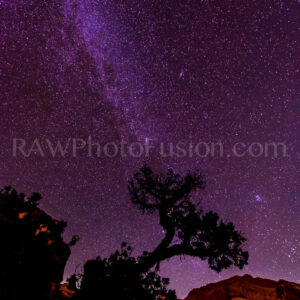 Imagination Tree, Tree of Imagination, Galaxy Tree, Milky Way Tree,
