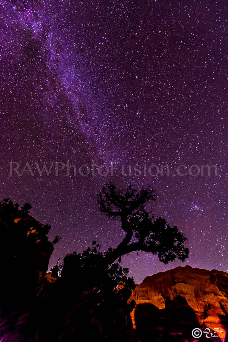 Imagination Tree, Tree of Imagination, Galaxy Tree, Milky Way Tree,