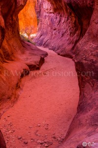 Fiery Furnace Slot Canyons, Slot Canyon, Fiery Furnace, Arches National Park,