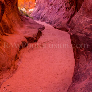 Fiery Furnace Slot Canyons, Slot Canyon, Fiery Furnace, Arches National Park,