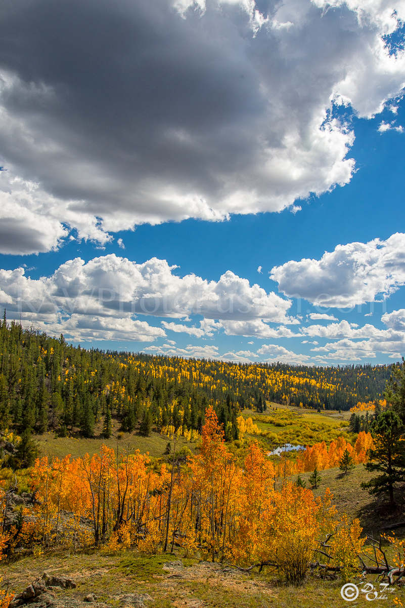 Orange Mountains