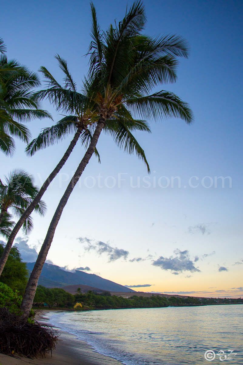 Beach Retreat, Beach sunrise